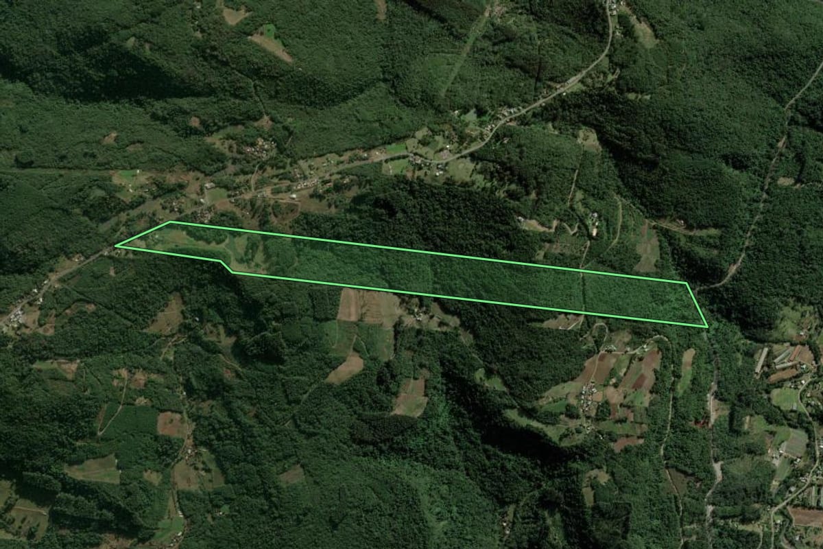 Imagem de satélite do imóvel rural em Nova Petrópolis (RS), com o contorno declarado no CAR desenhado por cima.