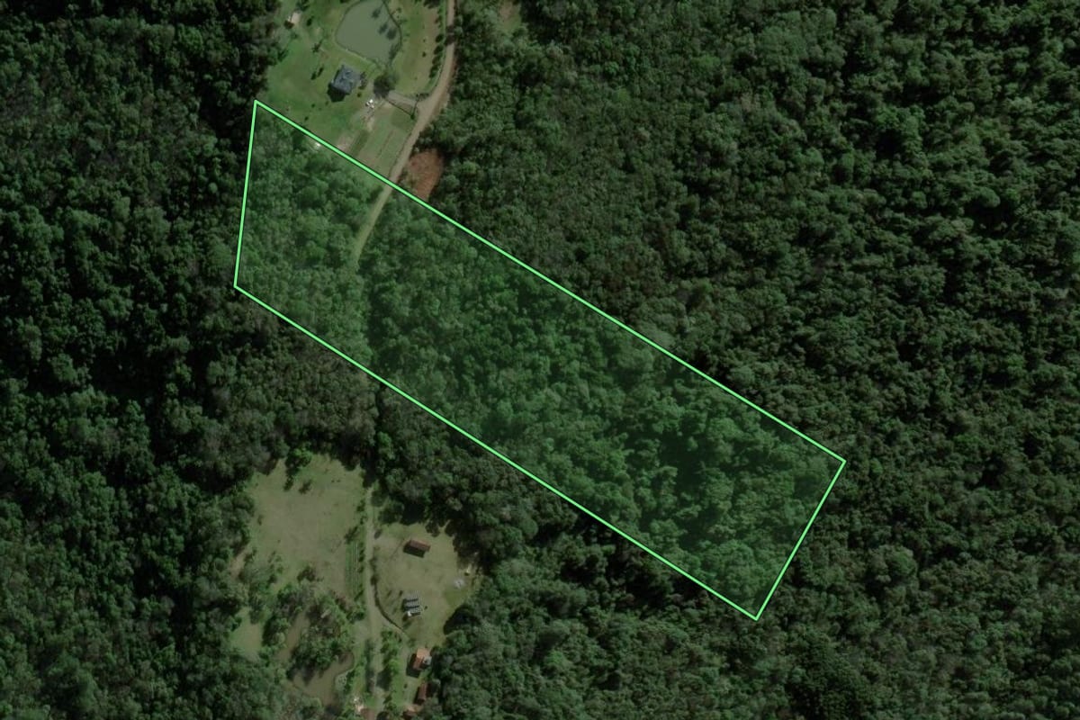 Imagem de satélite do imóvel rural em Nova Petrópolis (RS), com o contorno declarado no CAR desenhado por cima.