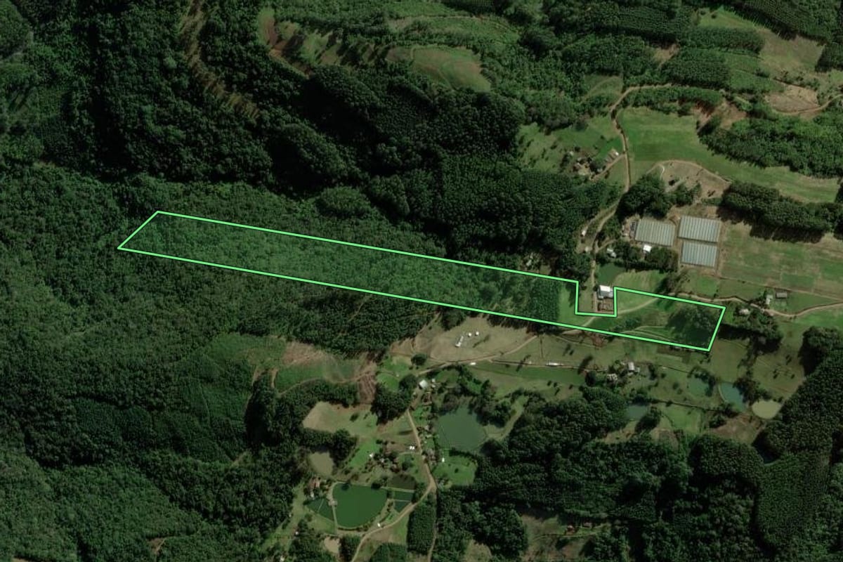 Imagem de satélite do imóvel rural em Nova Petrópolis (RS), com o contorno declarado no CAR desenhado por cima.