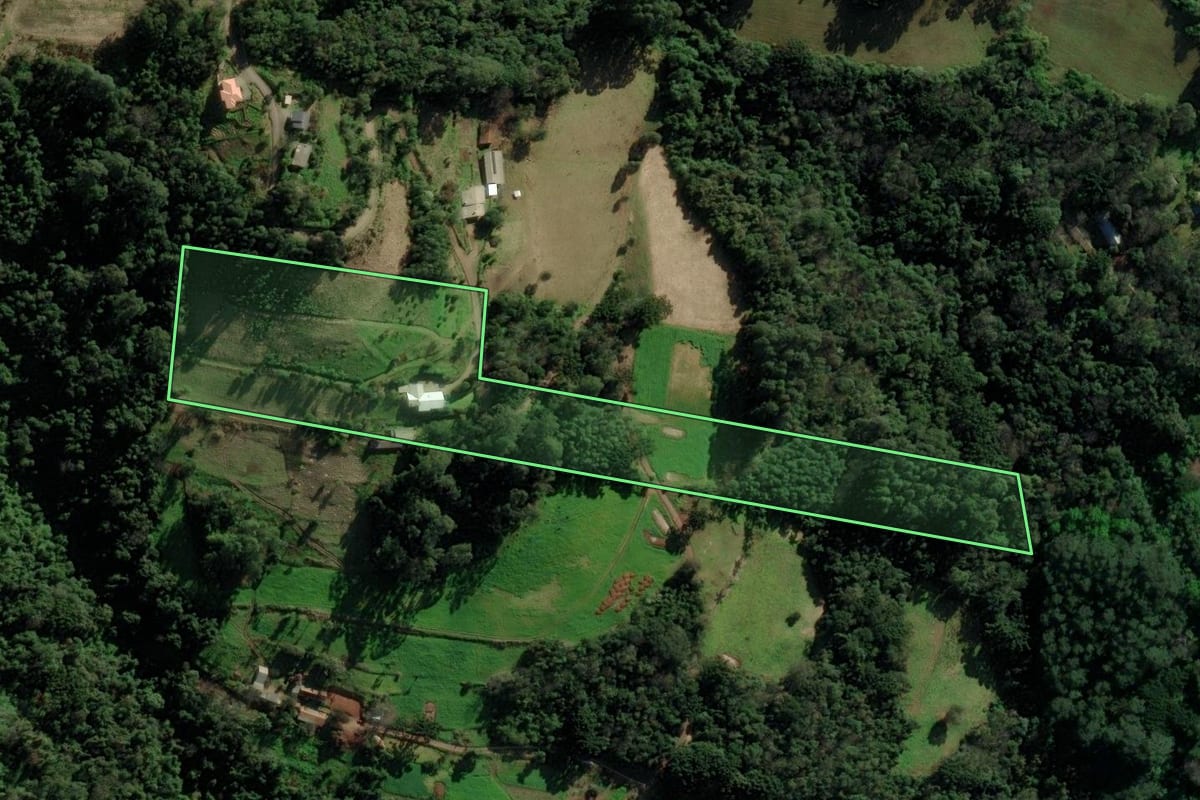 Imagem de satélite do imóvel rural em Nova Petrópolis (RS), com o contorno declarado no CAR desenhado por cima.