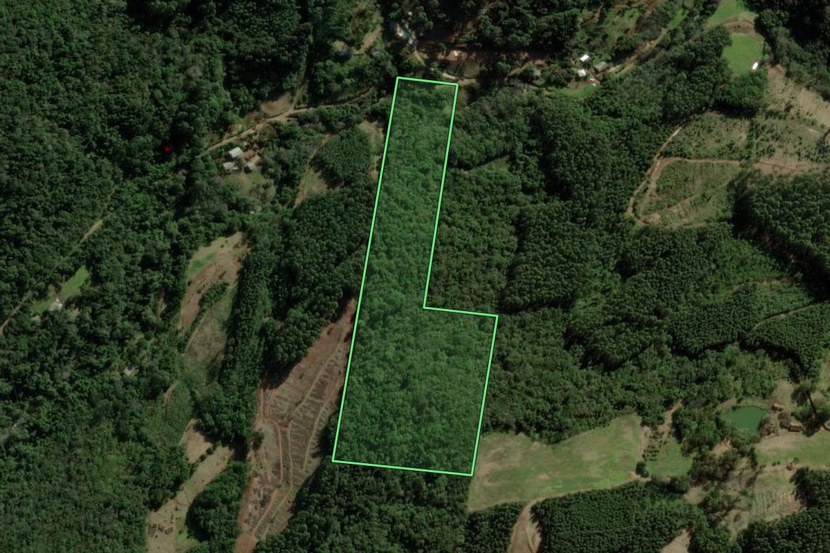 Imagem de satélite do imóvel rural em Nova Petrópolis (RS), com o contorno declarado no CAR desenhado por cima.
