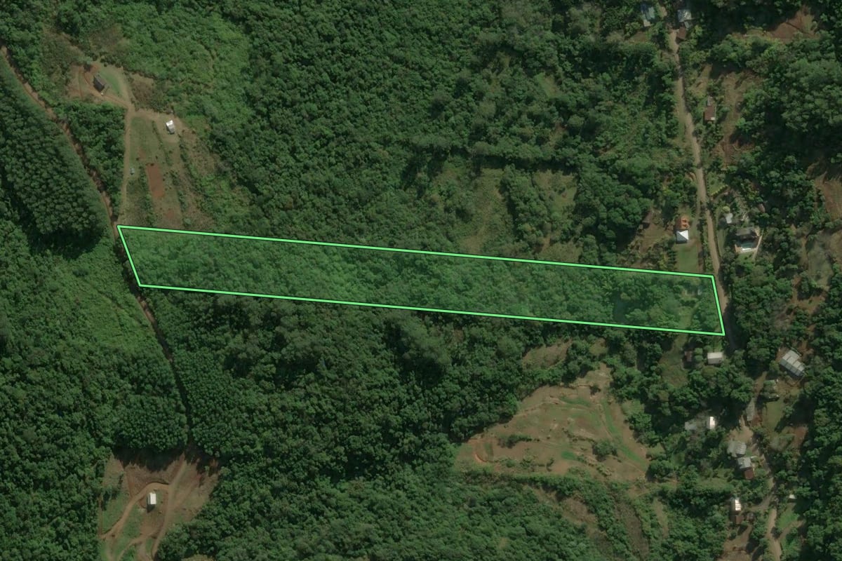 Imagem de satélite do imóvel rural em Nova Petrópolis (RS), com o contorno declarado no CAR desenhado por cima.