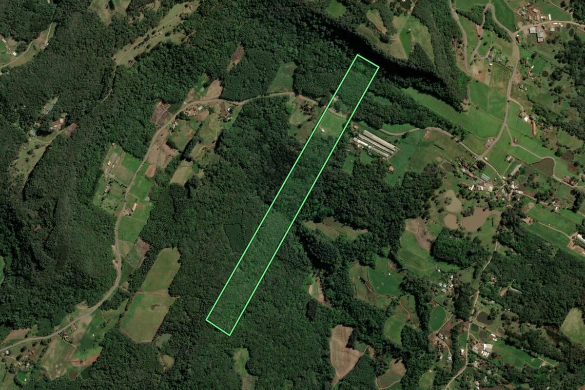 Imagem de satélite do imóvel rural em Nova Petrópolis (RS), com o contorno declarado no CAR desenhado por cima.