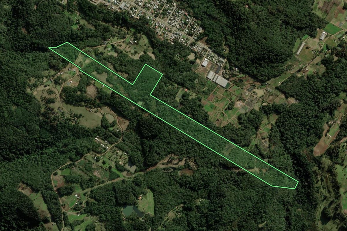 Imagem de satélite do imóvel rural em Nova Petrópolis (RS), com o contorno declarado no CAR desenhado por cima.