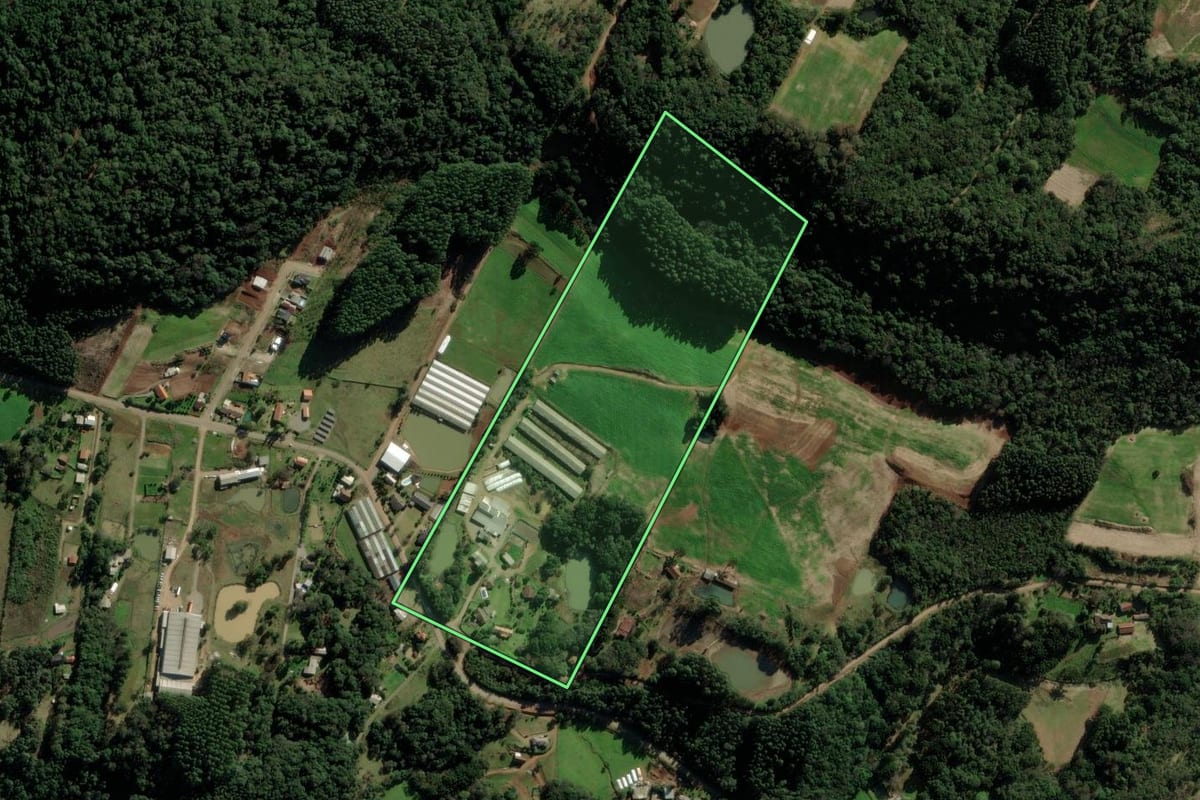Imagem de satélite do imóvel rural em Nova Petrópolis (RS), com o contorno declarado no CAR desenhado por cima.