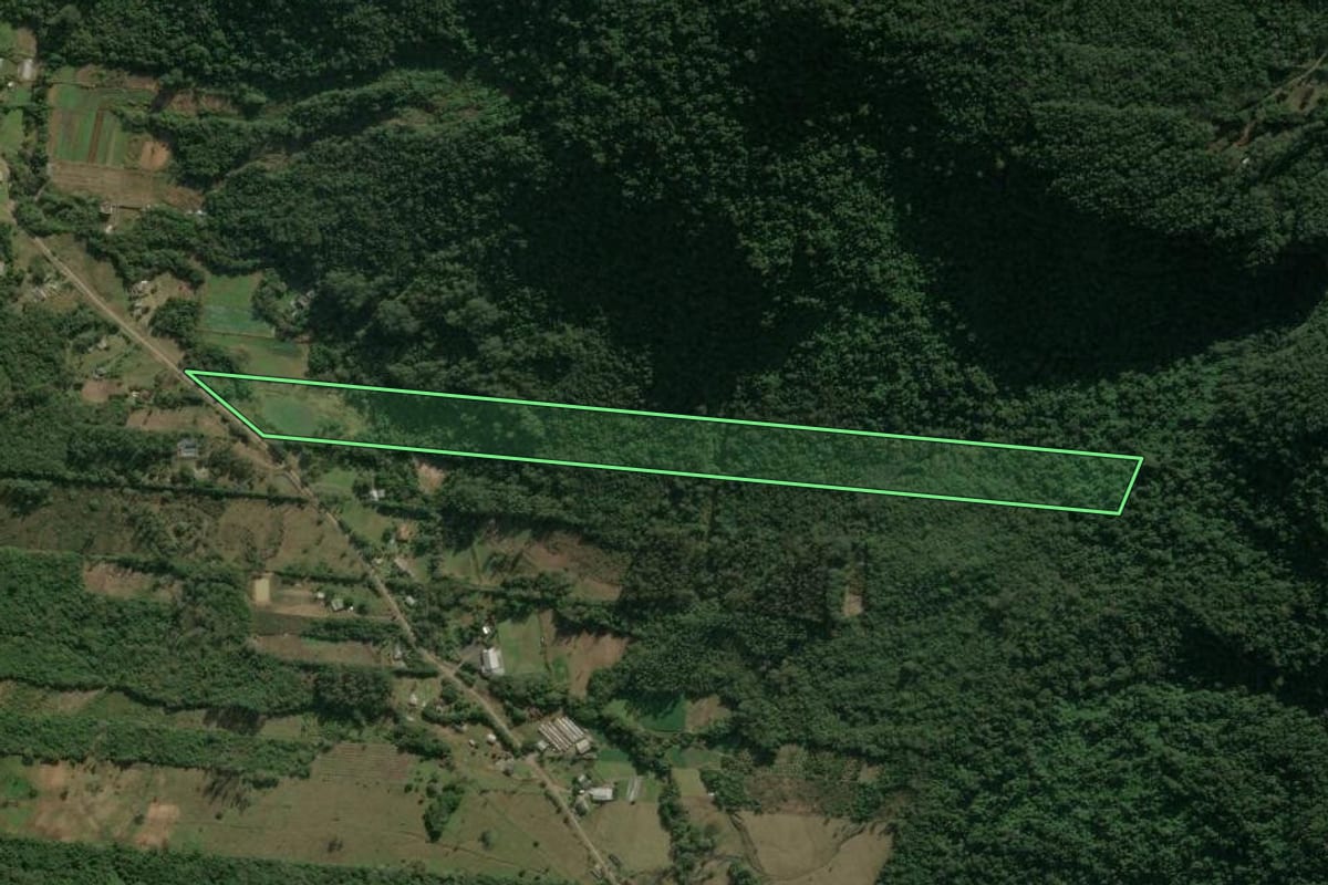 Imagem de satélite do imóvel rural em Nova Petrópolis (RS), com o contorno declarado no CAR desenhado por cima.