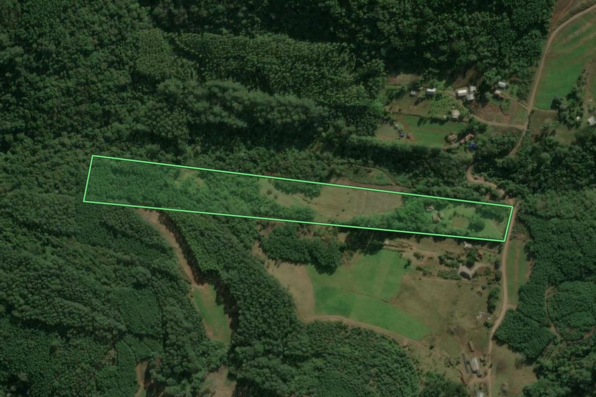 Imagem de satélite do imóvel rural em Nova Petrópolis (RS), com o contorno declarado no CAR desenhado por cima.