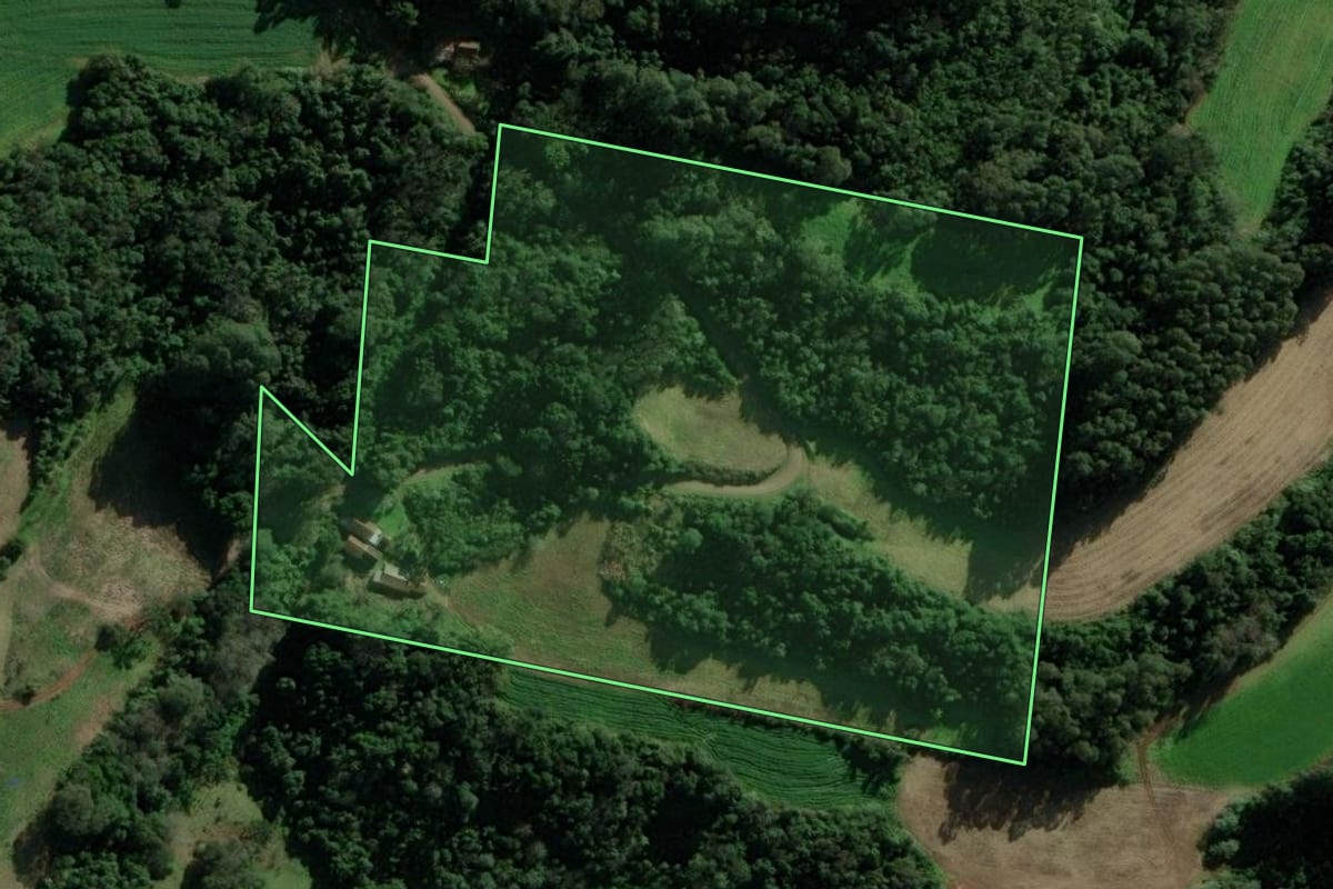 Imagem de satélite do imóvel rural em Nova Petrópolis (RS), com o contorno declarado no CAR desenhado por cima.
