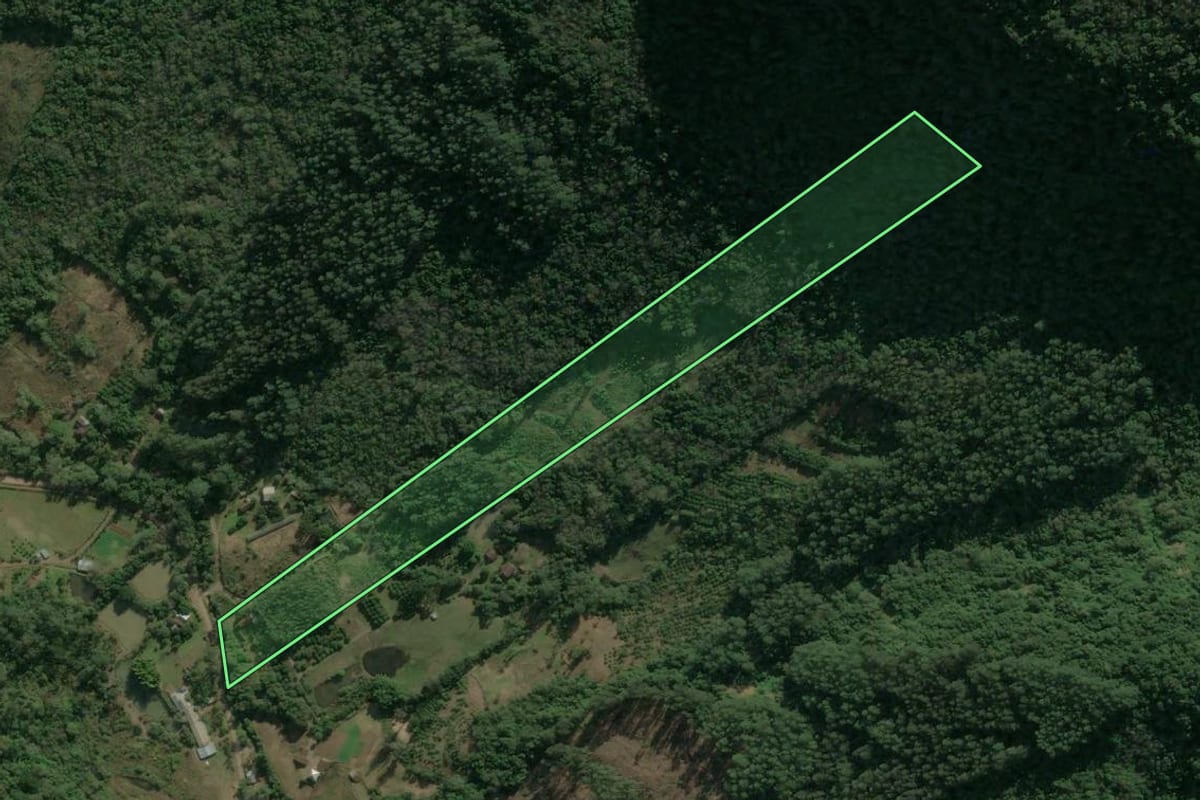 Imagem de satélite do imóvel rural em Nova Petrópolis (RS), com o contorno declarado no CAR desenhado por cima.
