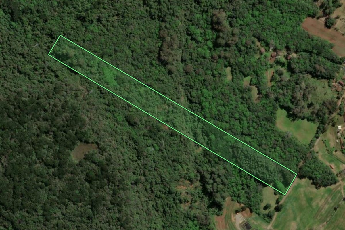 Imagem de satélite do imóvel rural em Nova Petrópolis (RS), com o contorno declarado no CAR desenhado por cima.