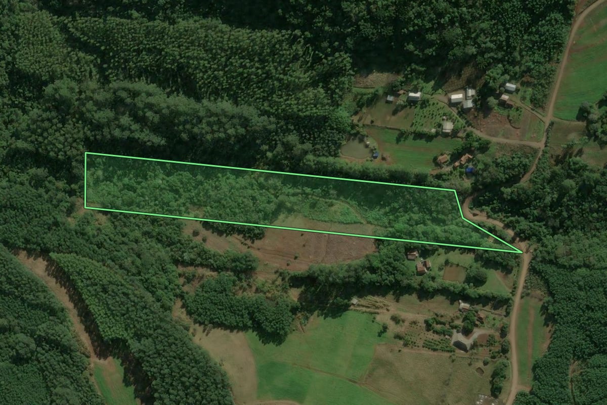 Imagem de satélite do imóvel rural em Nova Petrópolis (RS), com o contorno declarado no CAR desenhado por cima.