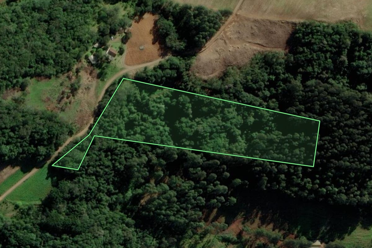 Imagem de satélite do imóvel rural em Nova Petrópolis (RS), com o contorno declarado no CAR desenhado por cima.