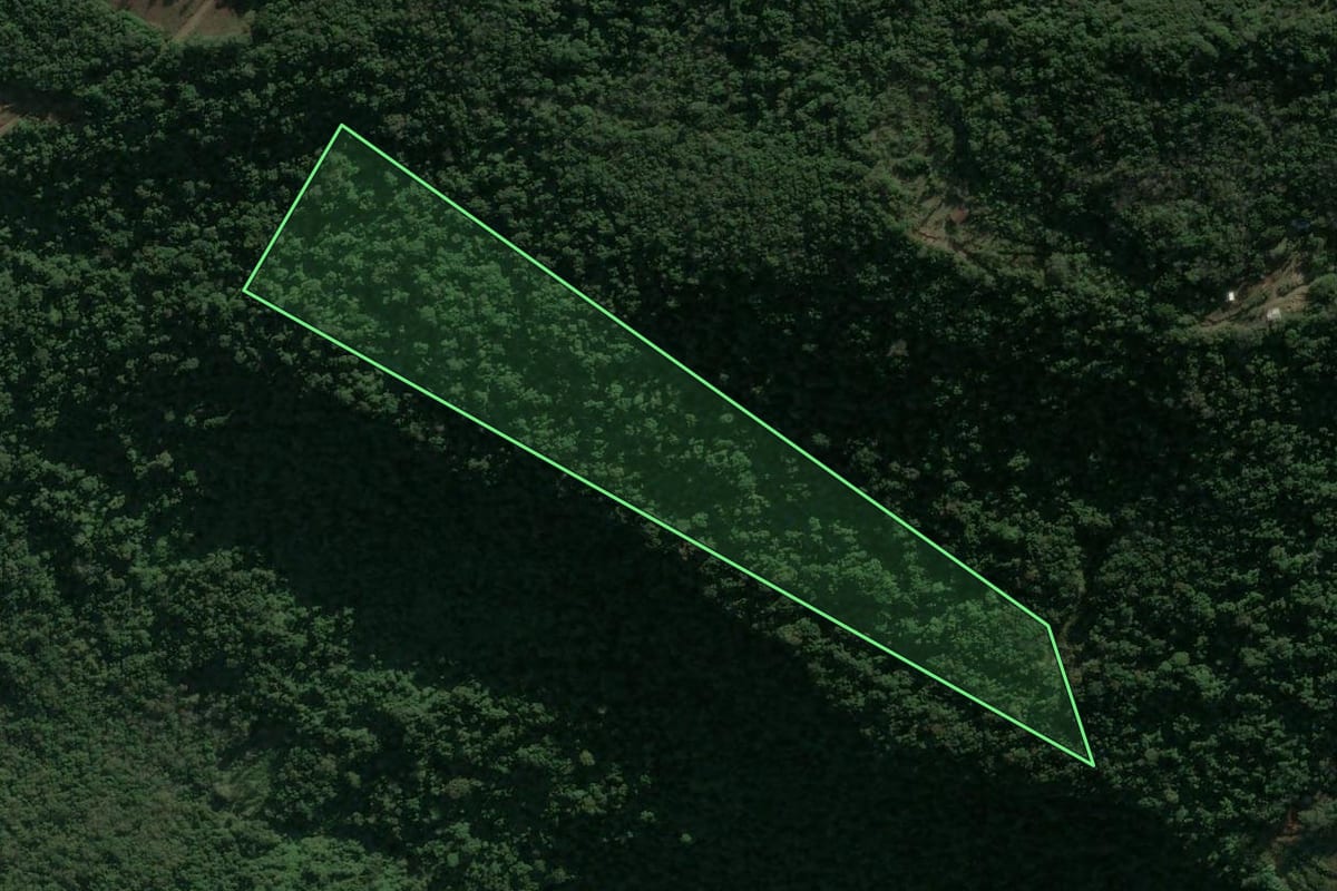 Imagem de satélite do imóvel rural em Nova Petrópolis (RS), com o contorno declarado no CAR desenhado por cima.