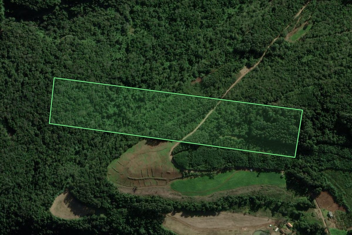 Imagem de satélite do imóvel rural em Nova Petrópolis (RS), com o contorno declarado no CAR desenhado por cima.