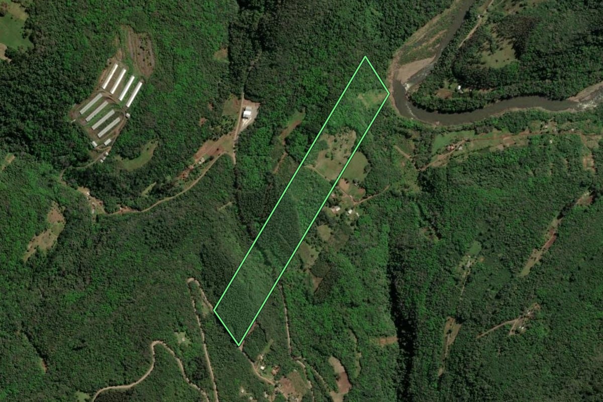 Imagem de satélite do imóvel rural em Nova Petrópolis (RS), com o contorno declarado no CAR desenhado por cima.