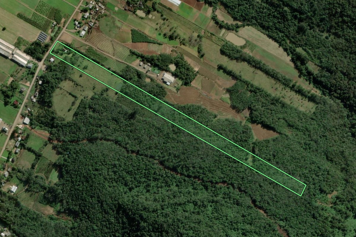 Imagem de satélite do imóvel rural em Nova Petrópolis (RS), com o contorno declarado no CAR desenhado por cima.