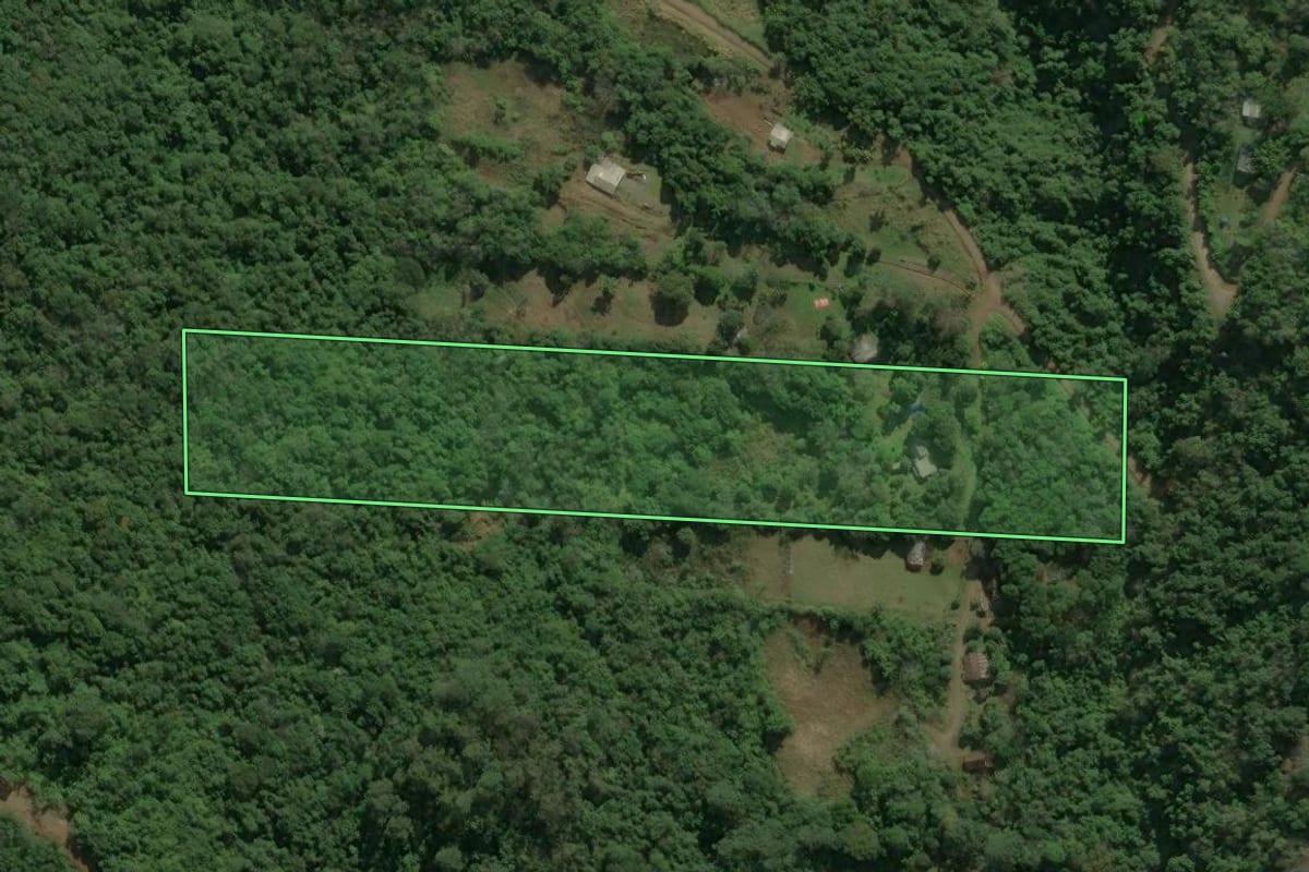 Imagem de satélite do imóvel rural em Nova Petrópolis (RS), com o contorno declarado no CAR desenhado por cima.