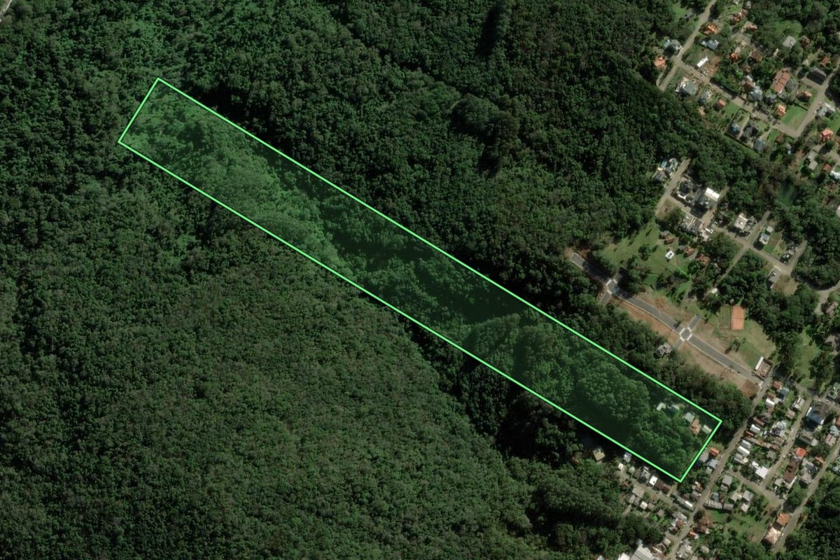 Imagem de satélite do imóvel rural em Nova Petrópolis (RS), com o contorno declarado no CAR desenhado por cima.