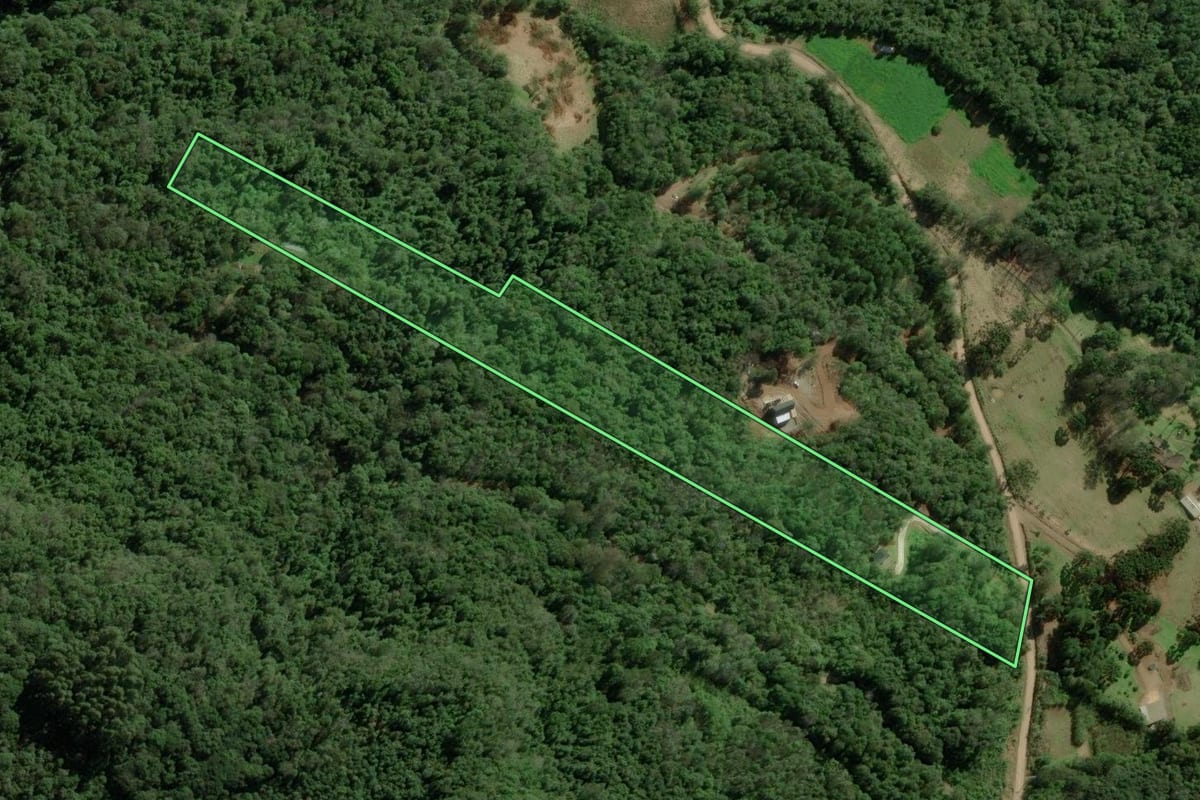 Imagem de satélite do imóvel rural em Nova Petrópolis (RS), com o contorno declarado no CAR desenhado por cima.