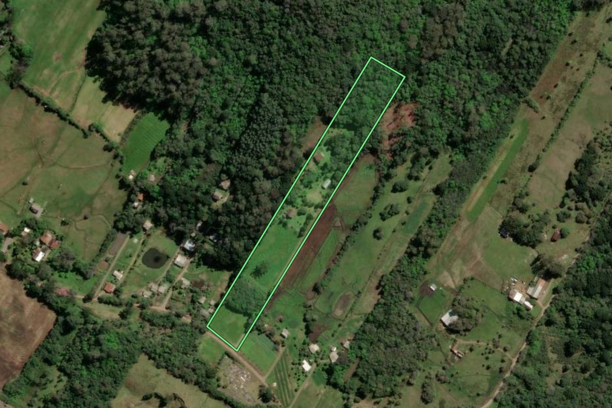 Imagem de satélite do imóvel rural em Nova Petrópolis (RS), com o contorno declarado no CAR desenhado por cima.