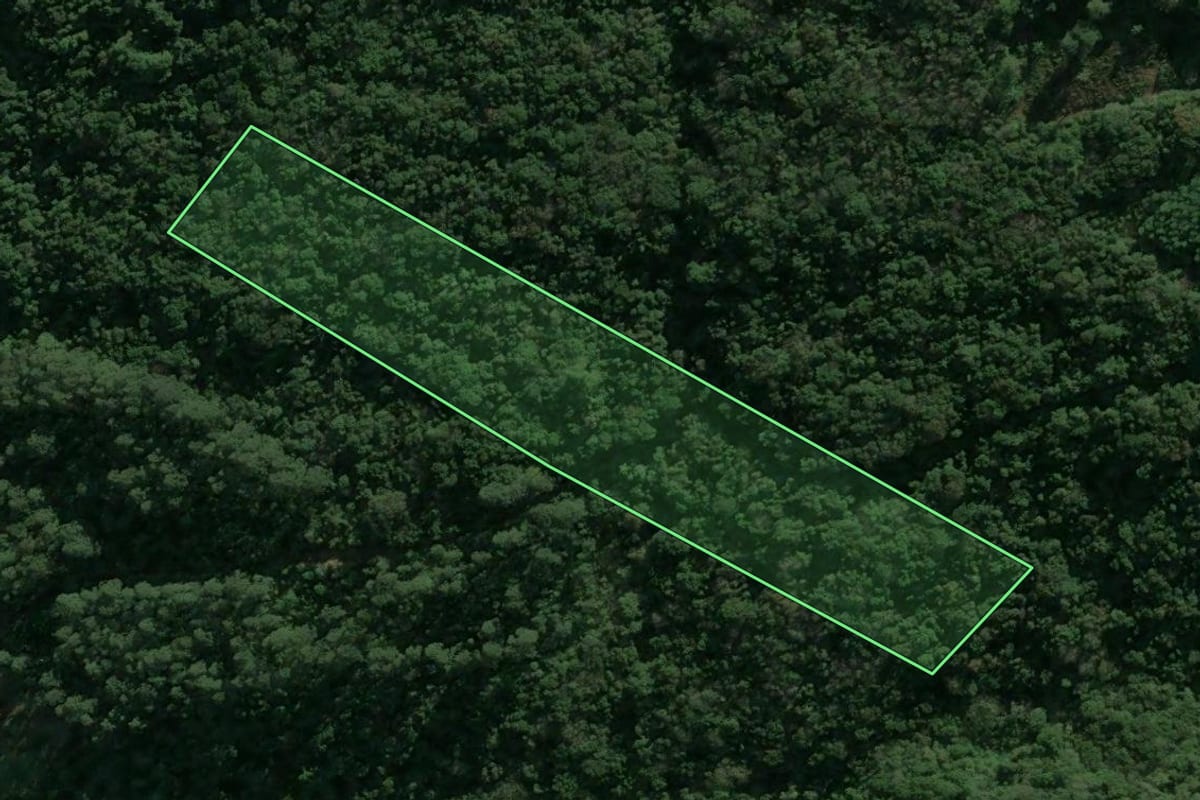Imagem de satélite do imóvel rural em Nova Petrópolis (RS), com o contorno declarado no CAR desenhado por cima.