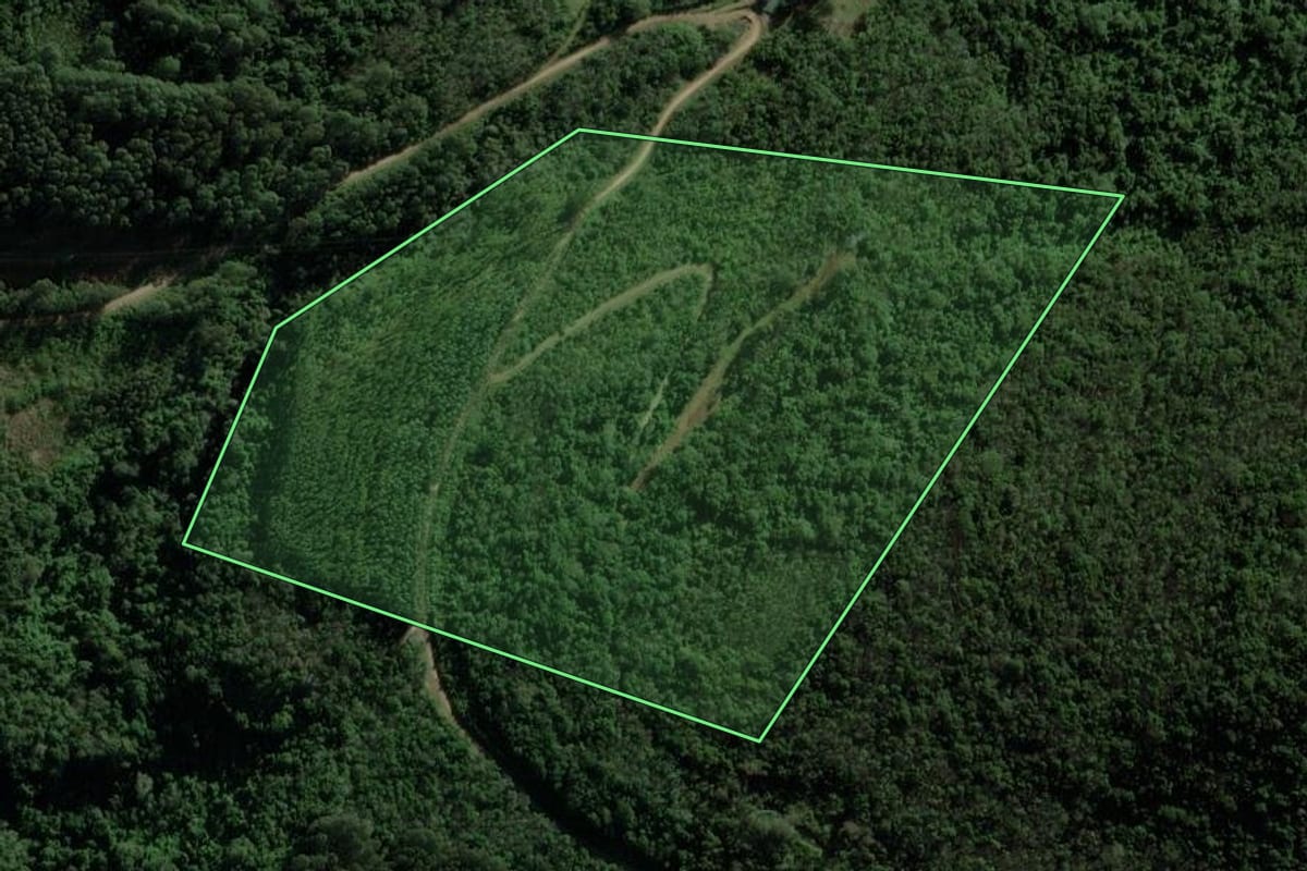 Imagem de satélite do imóvel rural em Nova Petrópolis (RS), com o contorno declarado no CAR desenhado por cima.