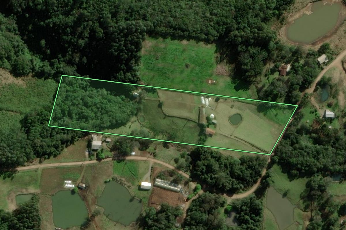 Imagem de satélite do imóvel rural em Nova Petrópolis (RS), com o contorno declarado no CAR desenhado por cima.