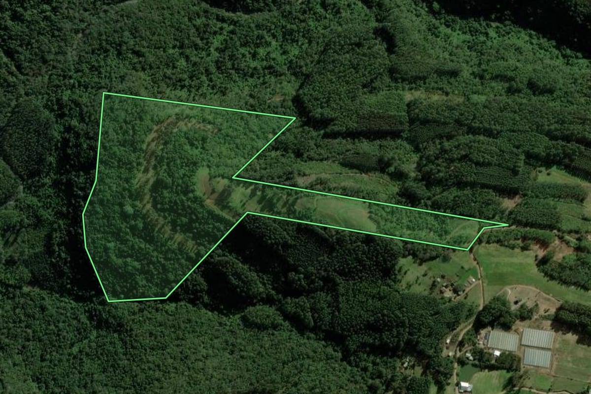 Imagem de satélite do imóvel rural em Nova Petrópolis (RS), com o contorno declarado no CAR desenhado por cima.