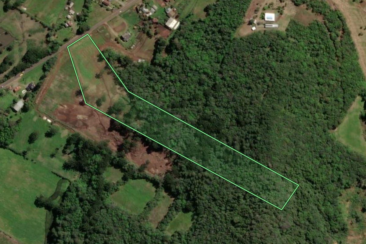 Imagem de satélite do imóvel rural em Nova Petrópolis (RS), com o contorno declarado no CAR desenhado por cima.