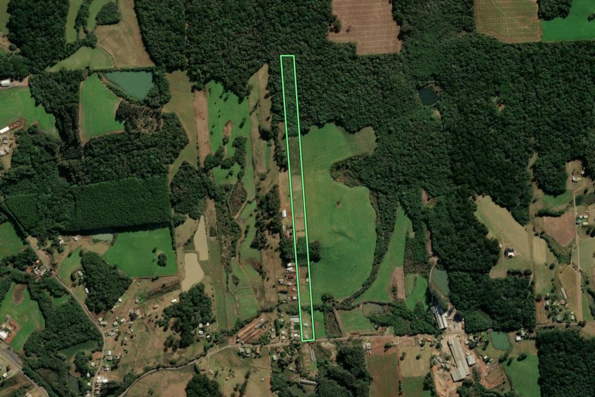 Imagem de satélite do imóvel rural em Nova Prata (RS), com o contorno declarado no CAR desenhado por cima.