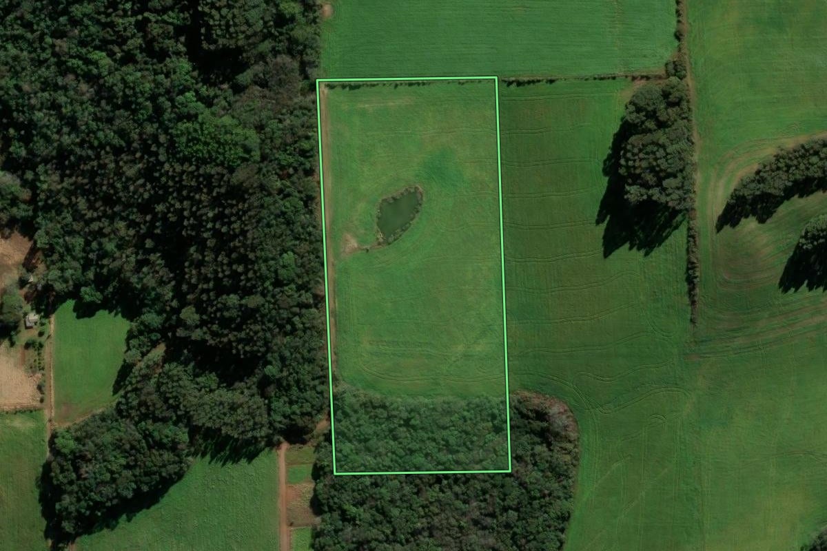 Imagem de satélite do imóvel rural em Nova Prata (RS), com o contorno declarado no CAR desenhado por cima.