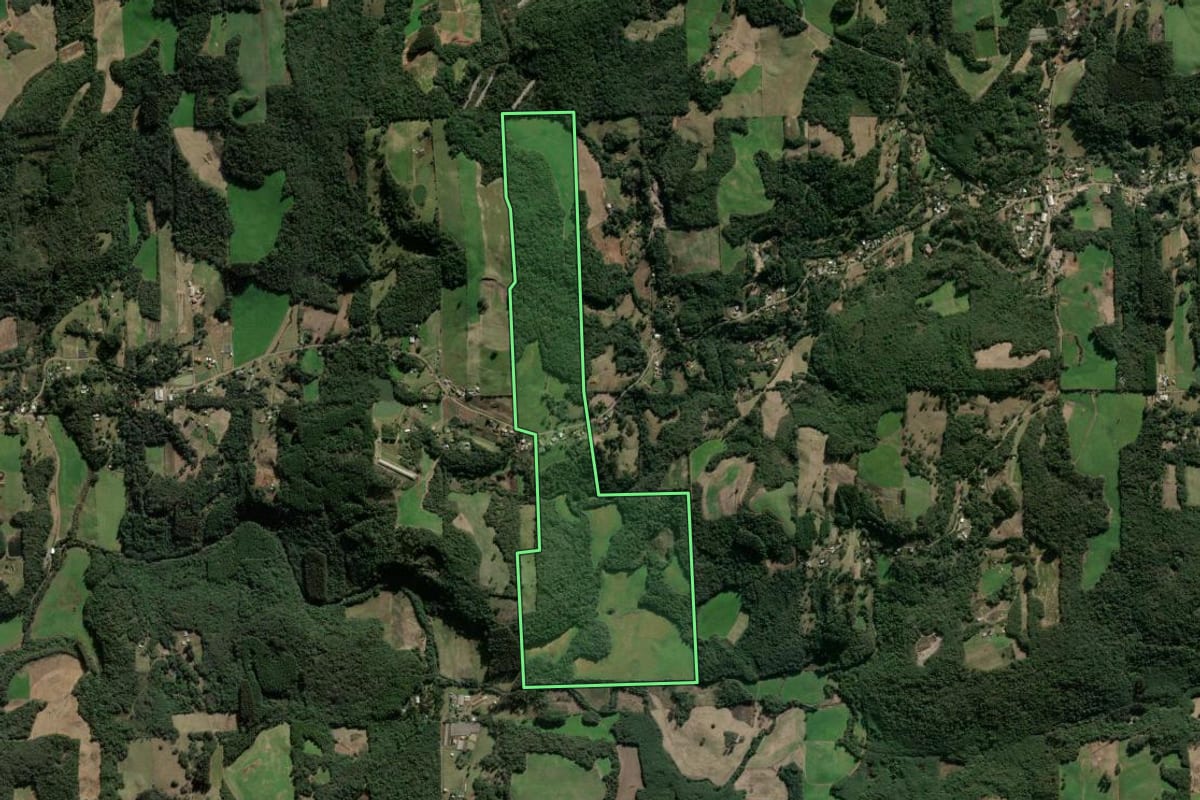 Imagem de satélite do imóvel rural em Nova Prata (RS), com o contorno declarado no CAR desenhado por cima.