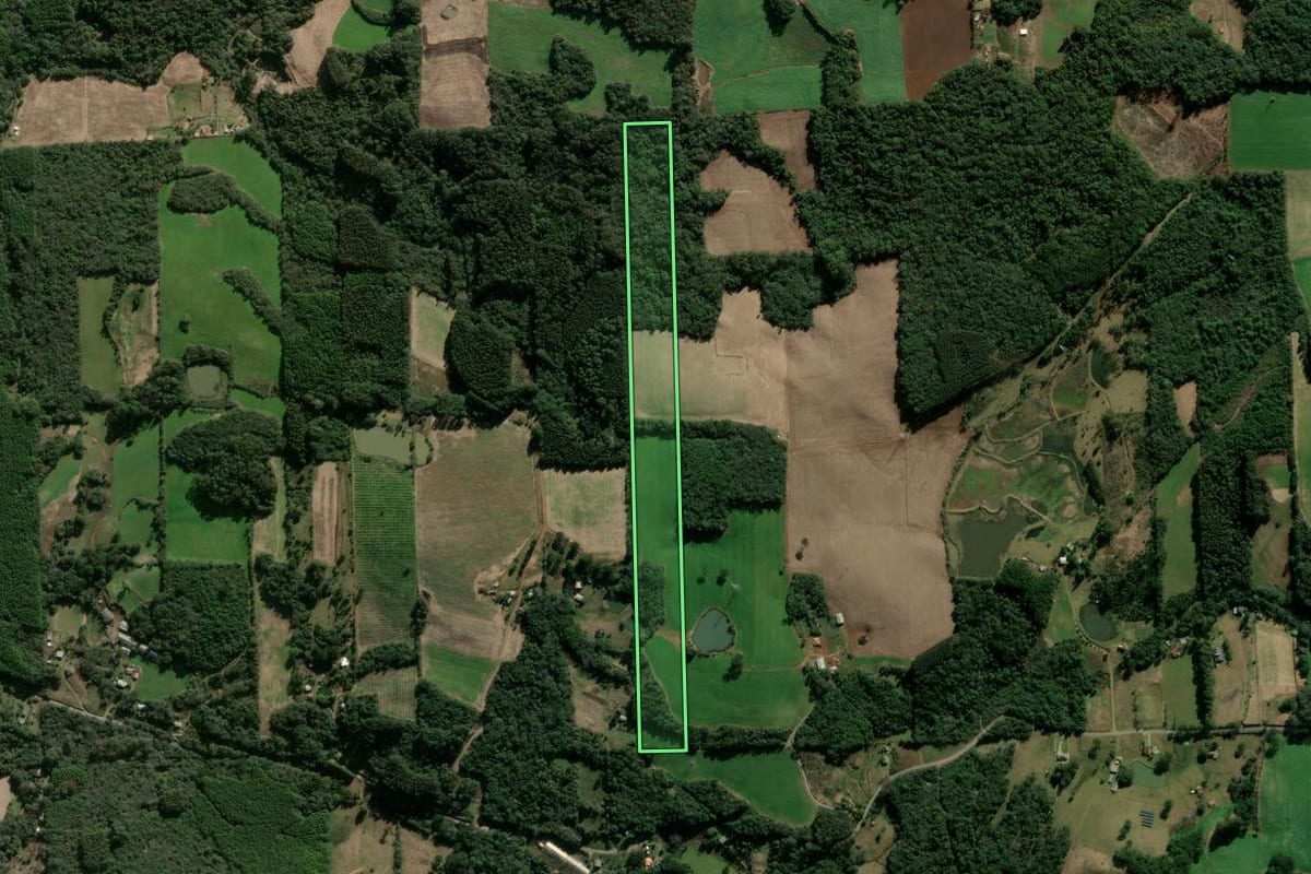 Imagem de satélite do imóvel rural em Nova Prata (RS), com o contorno declarado no CAR desenhado por cima.