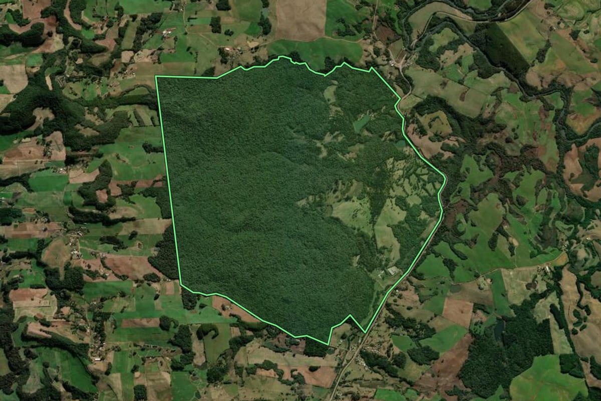 Imagem de satélite do imóvel rural em Nova Prata (RS), com o contorno declarado no CAR desenhado por cima.