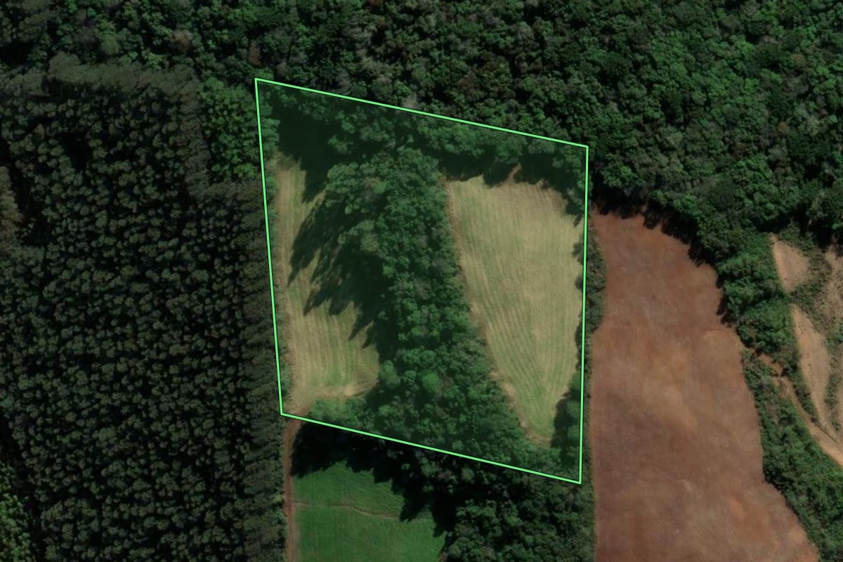 Imagem de satélite do imóvel rural em Nova Prata (RS), com o contorno declarado no CAR desenhado por cima.