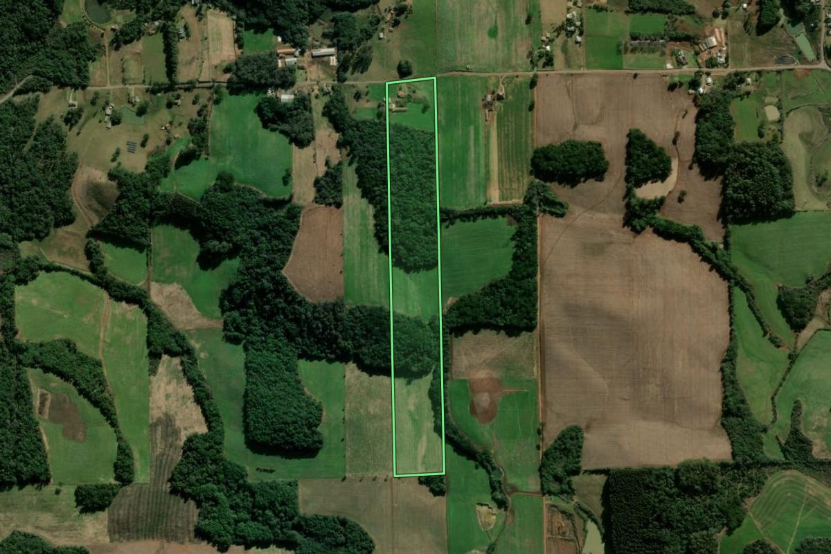 Imagem de satélite do imóvel rural em Nova Prata (RS), com o contorno declarado no CAR desenhado por cima.