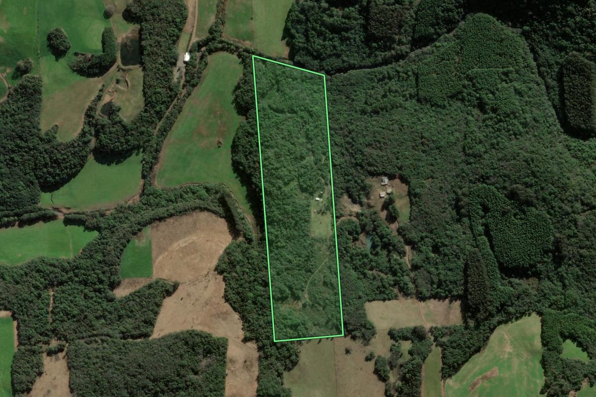 Imagem de satélite do imóvel rural em Nova Prata (RS), com o contorno declarado no CAR desenhado por cima.