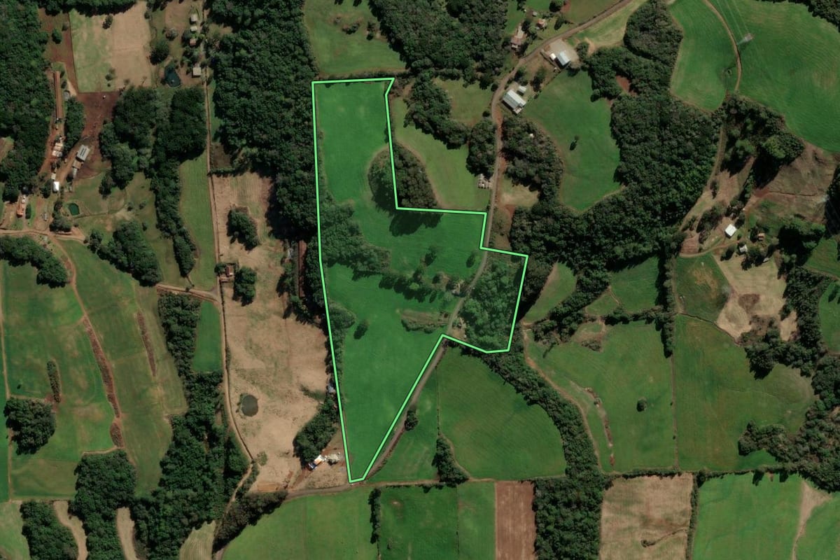 Imagem de satélite do imóvel rural em Nova Prata (RS), com o contorno declarado no CAR desenhado por cima.