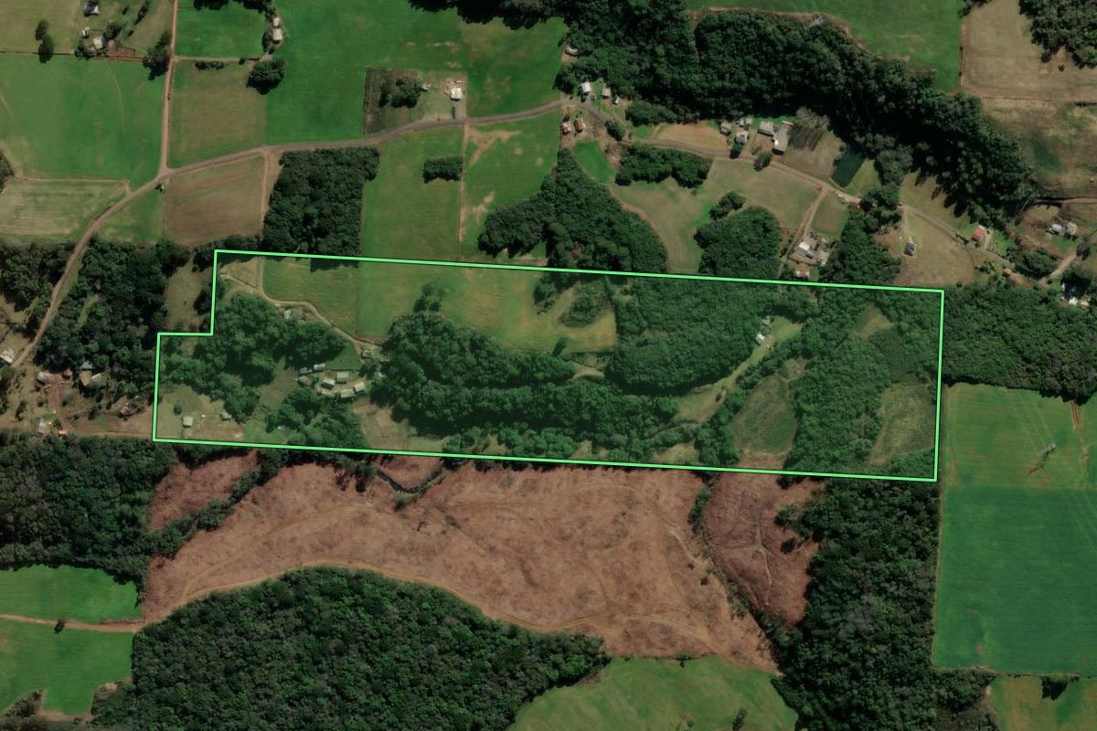 Imagem de satélite do imóvel rural em Nova Prata (RS), com o contorno declarado no CAR desenhado por cima.