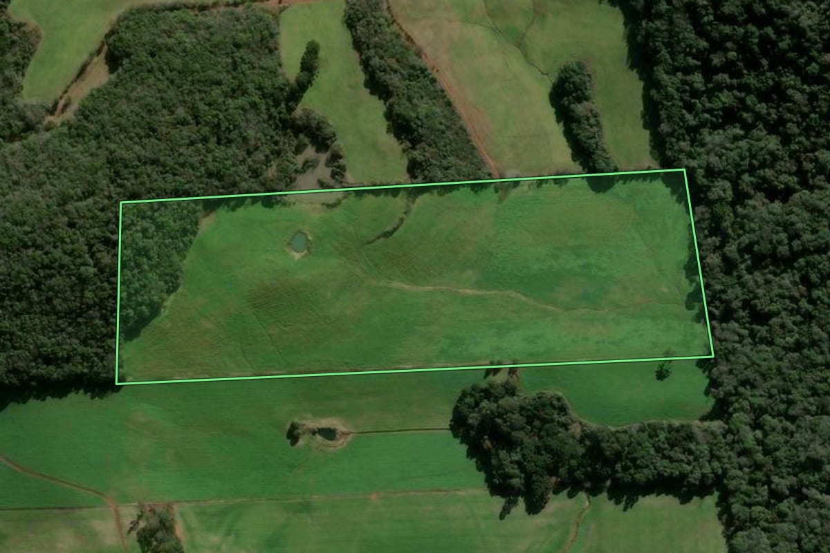 Imagem de satélite do imóvel rural em Nova Prata (RS), com o contorno declarado no CAR desenhado por cima.