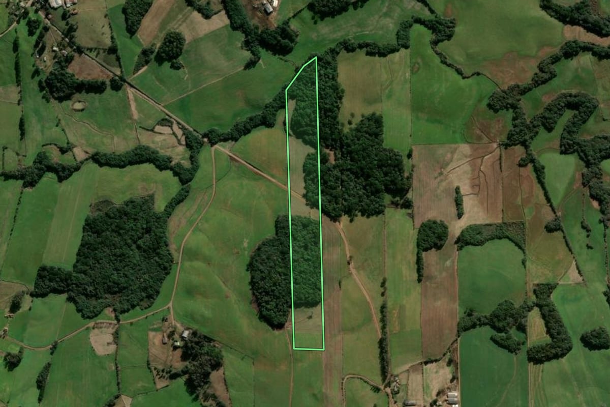 Imagem de satélite do imóvel rural em Nova Prata (RS), com o contorno declarado no CAR desenhado por cima.