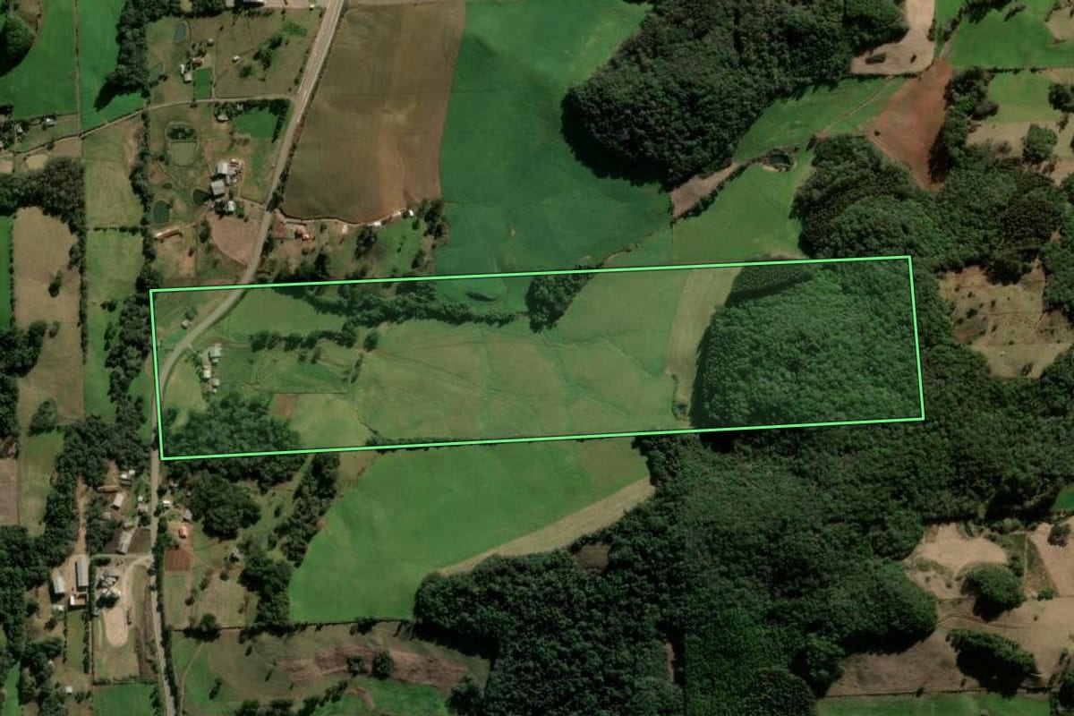 Imagem de satélite do imóvel rural em Nova Prata (RS), com o contorno declarado no CAR desenhado por cima.