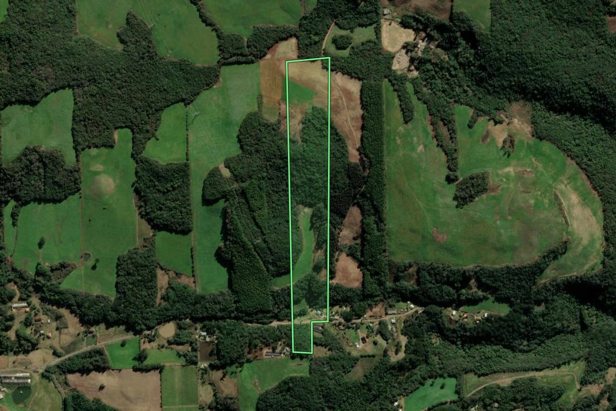 Imagem de satélite do imóvel rural em Nova Prata (RS), com o contorno declarado no CAR desenhado por cima.