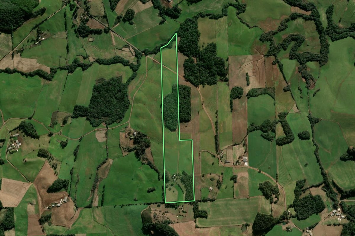 Imagem de satélite do imóvel rural em Nova Prata (RS), com o contorno declarado no CAR desenhado por cima.