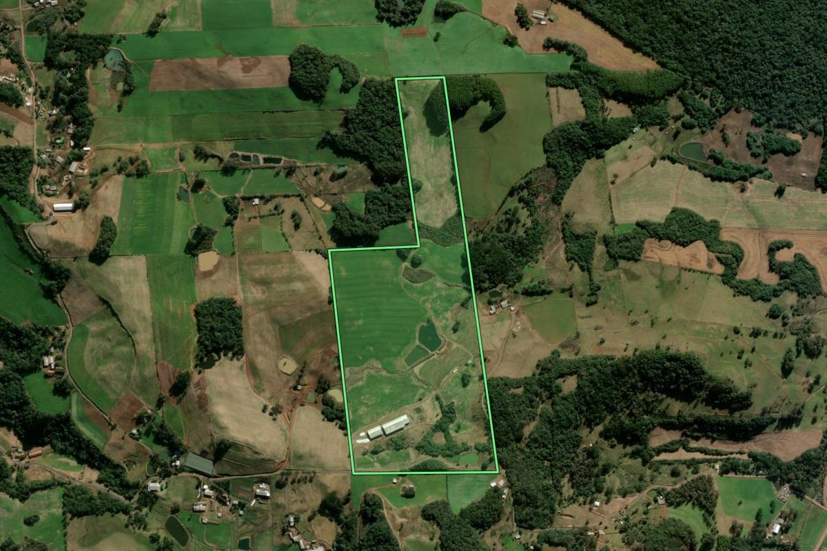 Imagem de satélite do imóvel rural em Nova Prata (RS), com o contorno declarado no CAR desenhado por cima.