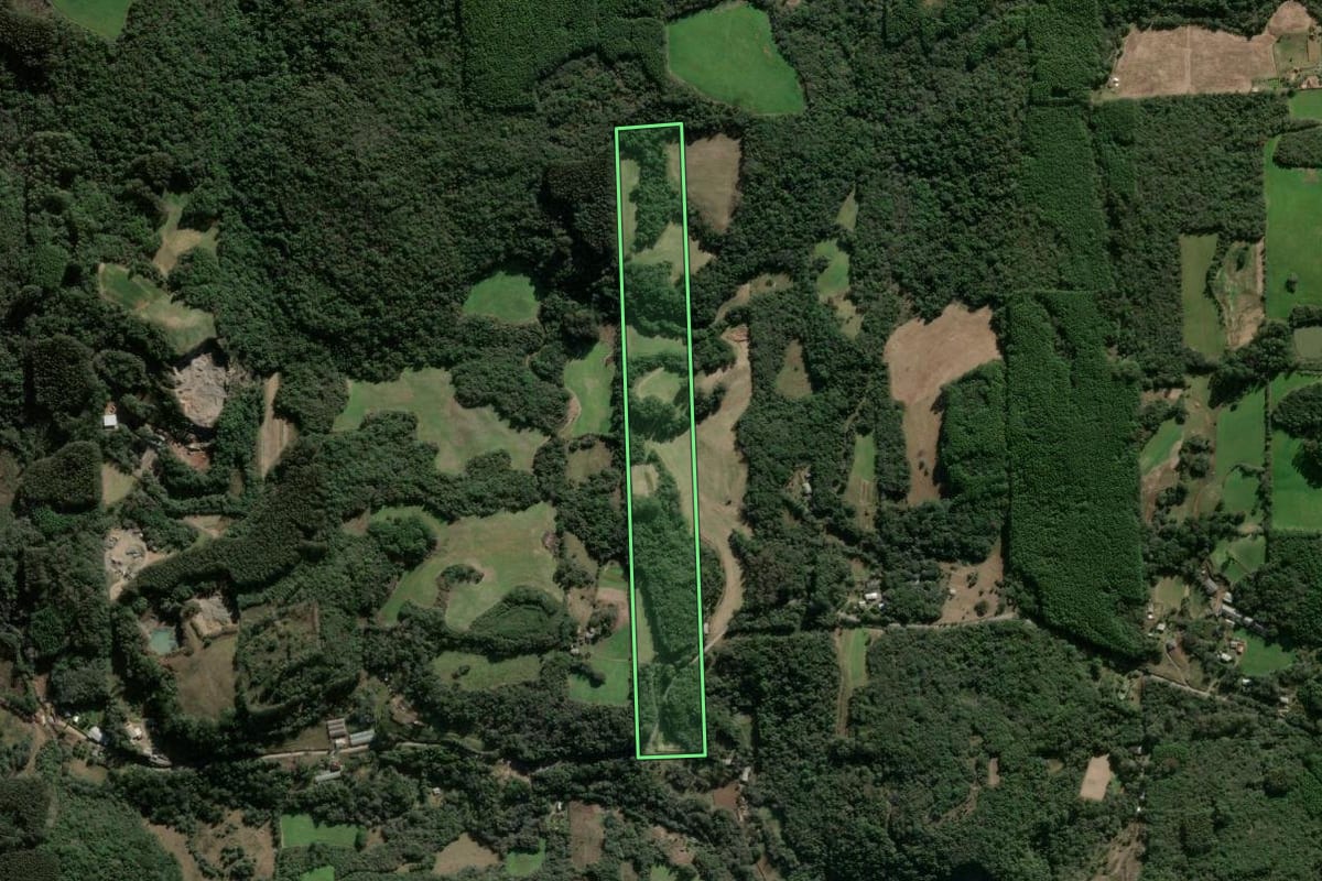 Imagem de satélite do imóvel rural em Nova Prata (RS), com o contorno declarado no CAR desenhado por cima.