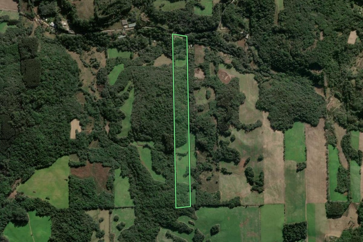 Imagem de satélite do imóvel rural em Nova Prata (RS), com o contorno declarado no CAR desenhado por cima.