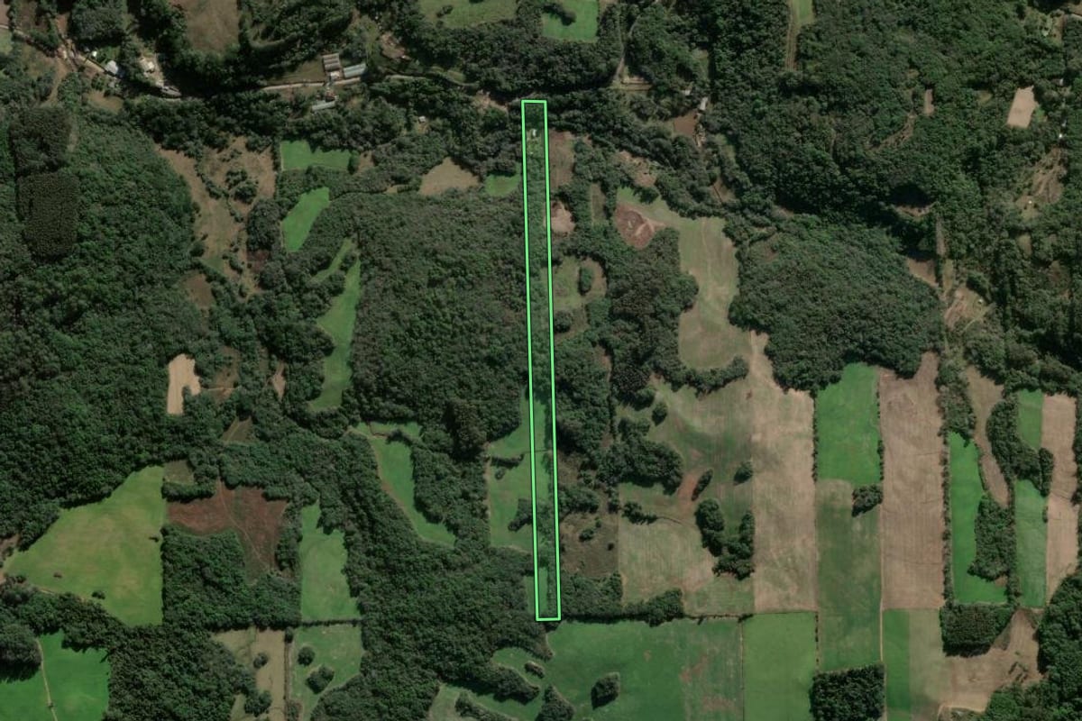 Imagem de satélite do imóvel rural em Nova Prata (RS), com o contorno declarado no CAR desenhado por cima.