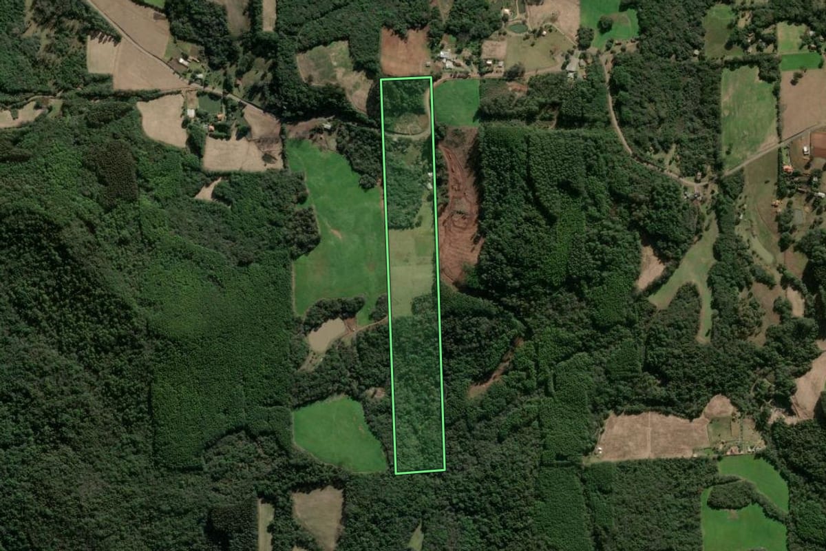 Imagem de satélite do imóvel rural em Nova Prata (RS), com o contorno declarado no CAR desenhado por cima.