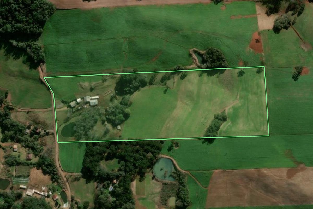 Imagem de satélite do imóvel rural em Nova Prata (RS), com o contorno declarado no CAR desenhado por cima.